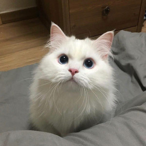 成人免费毛片❌❌❌
