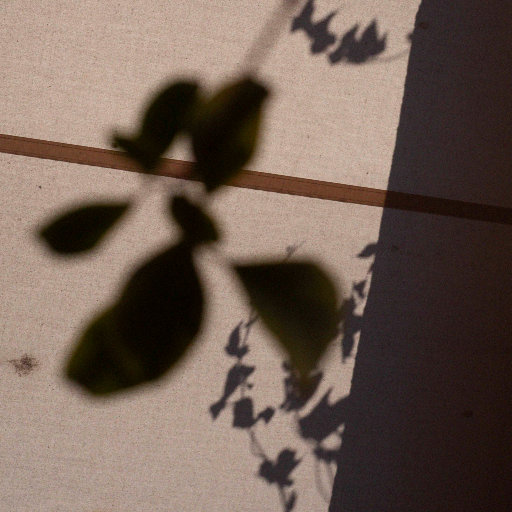 成人免费毛片❌❌❌
